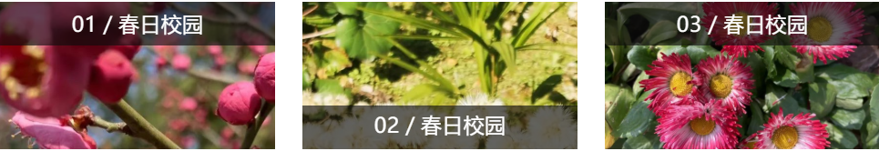 1677073364344067247.png
