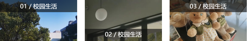 1677074101403033651.png